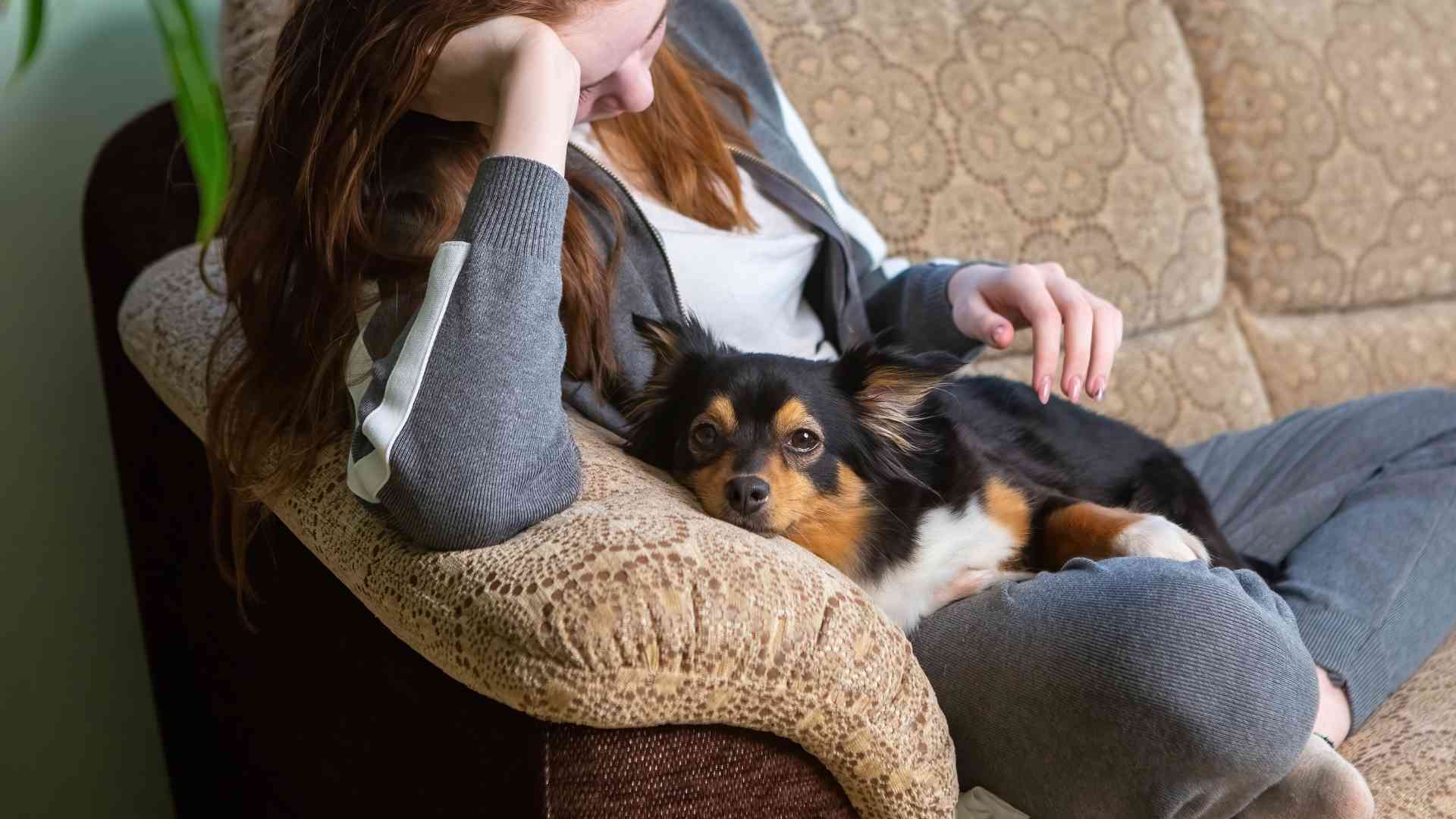 Tutora y perro provocar vomito